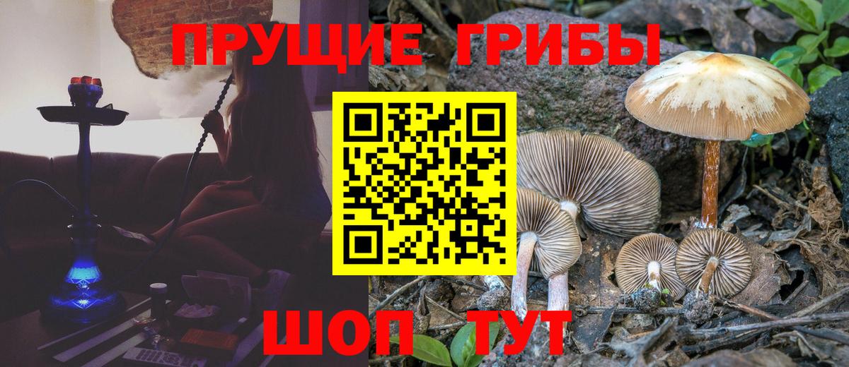 Острогожск  Галлюциногенные грибы GOLDEN TEACHER  Вход с VPN 
